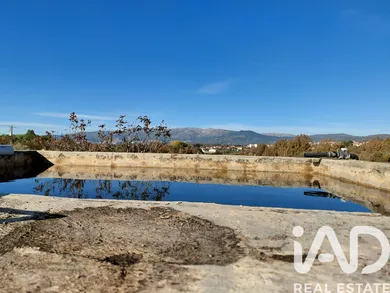 Quinta agrícola em Caria