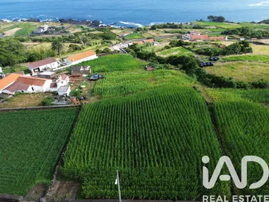 Farm land  in Ribeiras