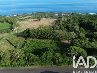 Land  in Ribeiras