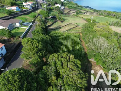 Fotografia 3 de Terreno de 1335 m² em Ribeiras