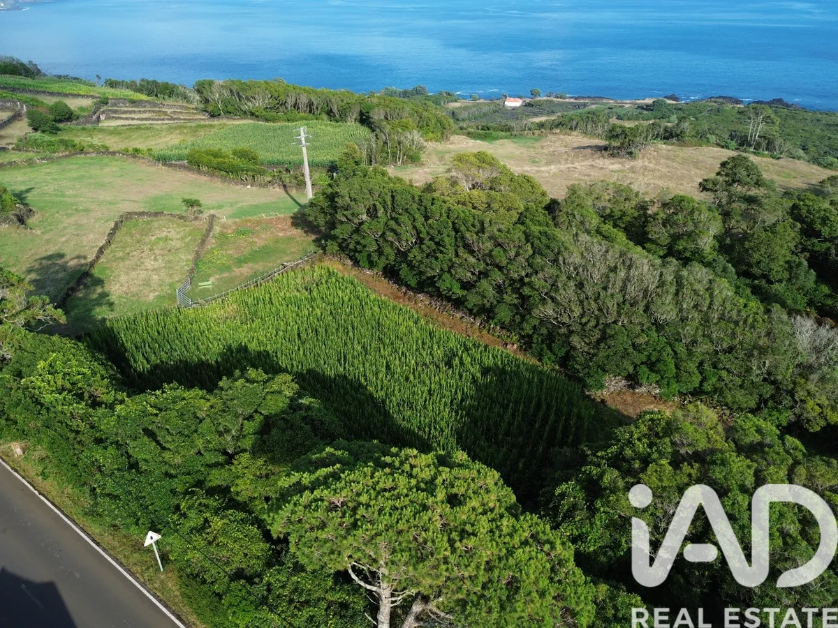 Terreno de 1335 m² em Ribeiras