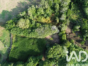 Terreno  em Ribeiras