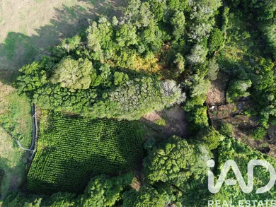 Terreno  em Ribeiras