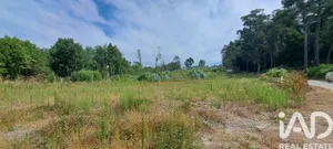 Terreno urbano em Boim