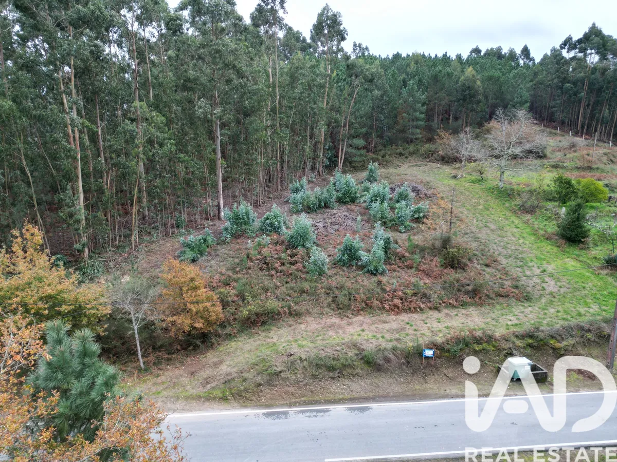 Terreno urbano de 2166 m² em Viana do Castelo