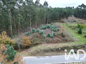 Terreno urbano em Viana do Castelo
