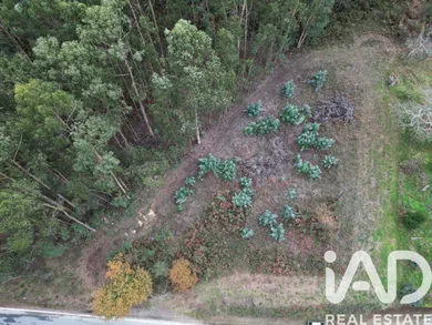 Terreno urbano  em Viana do Castelo