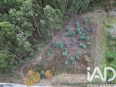 Terreno urbano  em Viana do Castelo