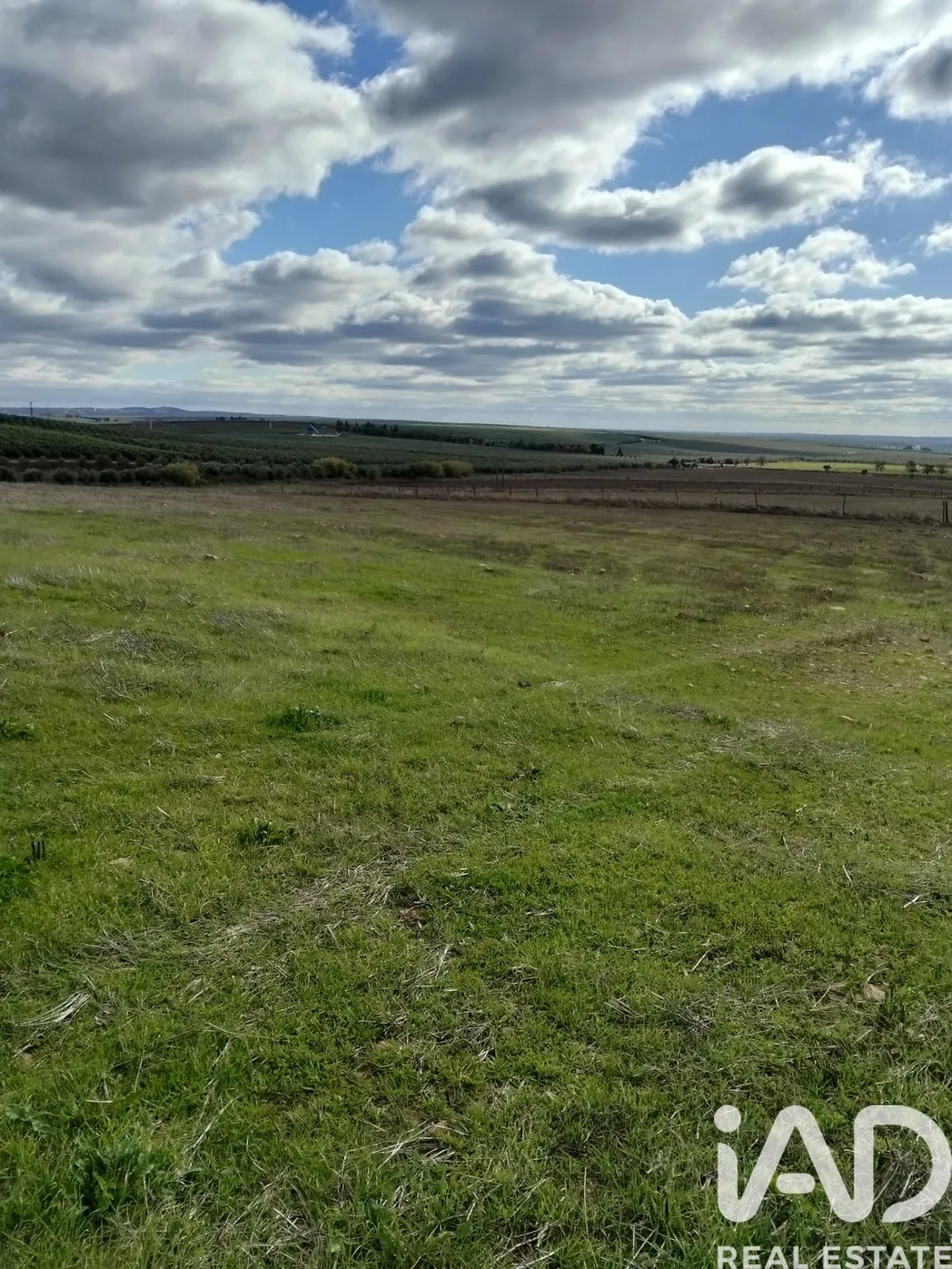 Terreno rústico de 15 750 m² em Baleizão