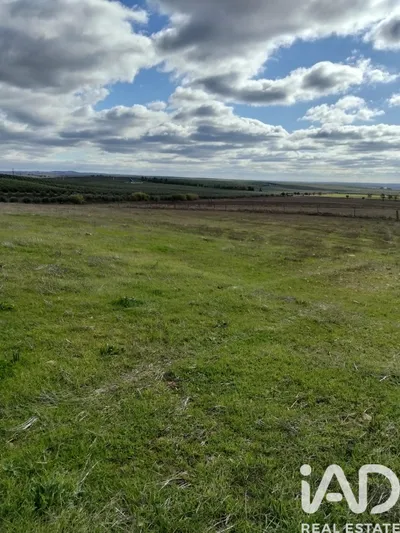 Fotografia 4 de Terreno rústico de 8000 m² em Pedrógão