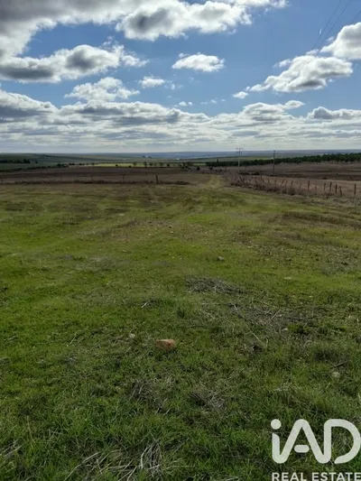 Fotografia 3 de Terreno rústico de 15 750 m² em Baleizão
