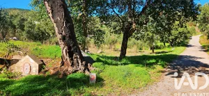 Land  in Monchique