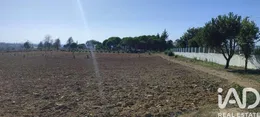 Farm in Guarda
