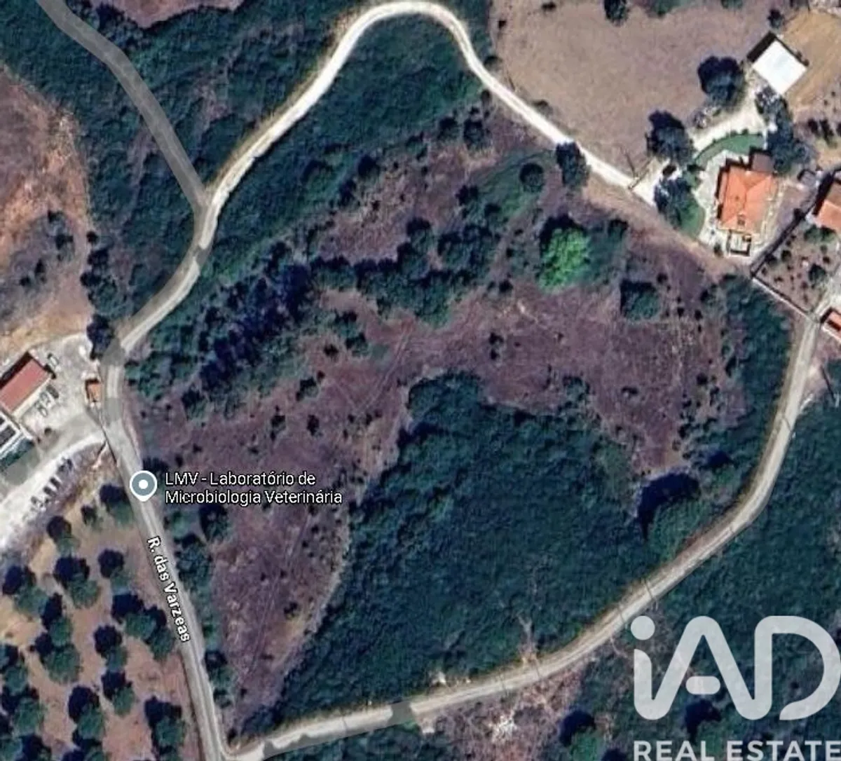 Terreno de 31 960 m² em Almoster