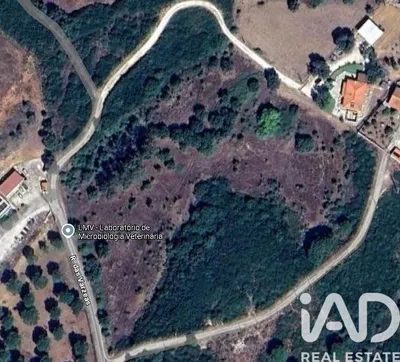 Fotografia 7 de Terreno de 48 440 m² em Carneiria