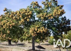 Terreno rústico  em Oliveira do Hospital