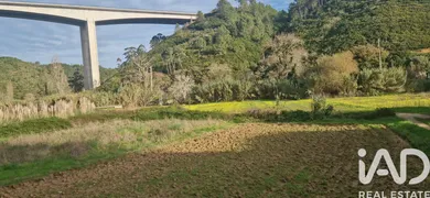 Terrain agricole   à Carvoeira