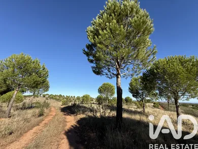 Casa de campo  em Amieira