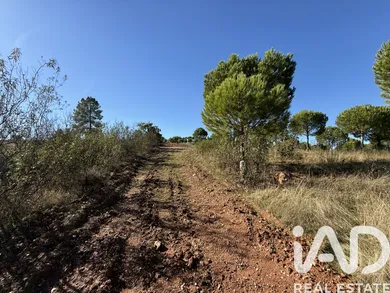 Casa de campo  em Amieira