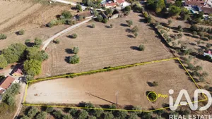 Terreno rústico em Casal do Tojeiro