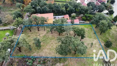 Terrain agricole   à Figueiró dos Vinhos