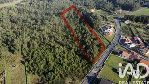 Terreno  em Veiros
