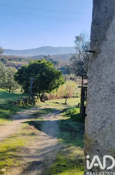 Terreno em Oliveira do Hospital