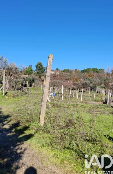 Terreno em Oliveira do Hospital