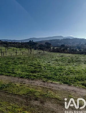 Terreno  em Oliveira do Hospital