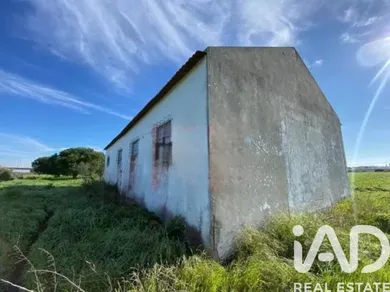 Terrain agricole à Samouco