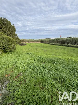 Farm land  in Montijo