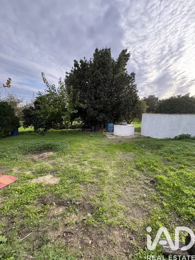 Fotografia 3 de Terreno rústico de 1920 m² em Montijo Afonsoeiro
