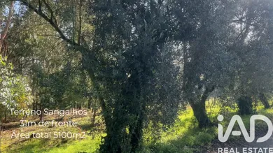 Terreno  em Sangalhos