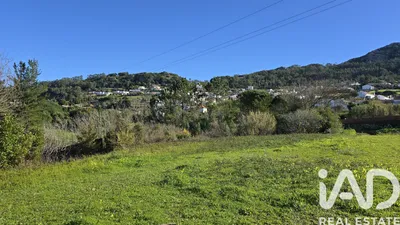 Fotografia 3 de Terreno urbano de 12 000 m² em Lamas
