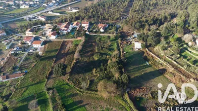 Fotografia 3 de Terreno de 7256 m² em Pinheiro da Bemposta
