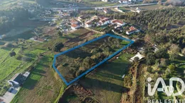 Terreno em Pinheiro da Bemposta