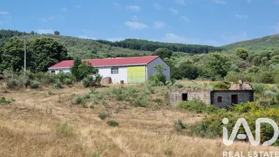 Fotografia 4 de Terreno rústico de 35 818 m² em Salgueirais - Celorico da Beira