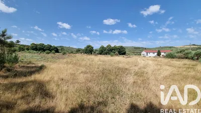 Fotografia 3 de Terreno rústico de 137 800 m² em Prados - Celorico da Beira