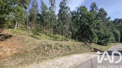 Fotografia 7 de Terreno de 21 000 m² em Cerdal
