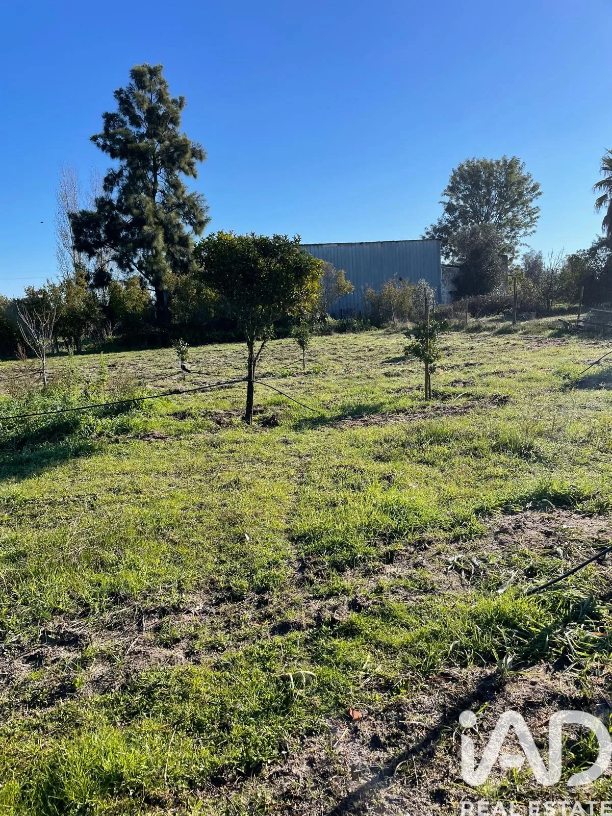 Terreno rústico de 5200 m² em Poceirão