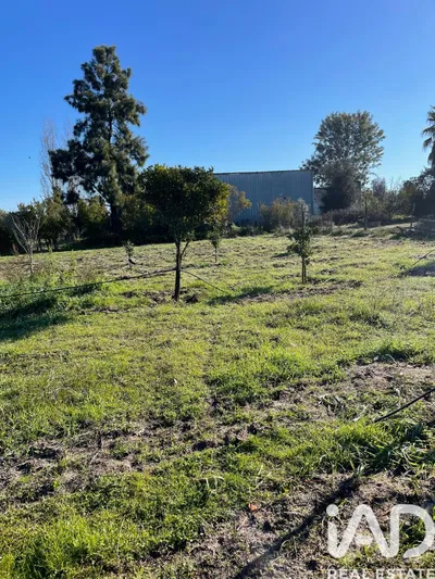 Fotografia 7 de Terreno urbano de 9826 m² em Poceirão