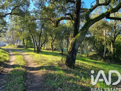 Building plot in Poiares