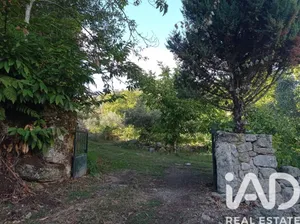 Terreno rústico em Sendim