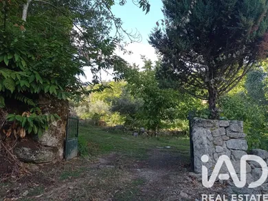 Terreno rústico  em Sendim