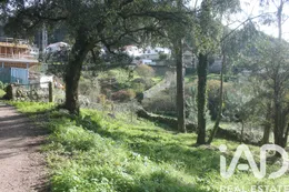Terreno urbano em Esposende