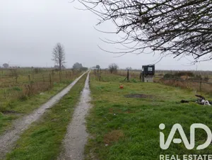 Terrain agricole à Almeirim