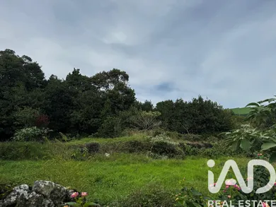 Farm land in Lagoa