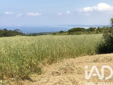 Farm land  in Sesimbra