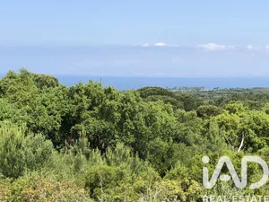 Farm land  in Sesimbra