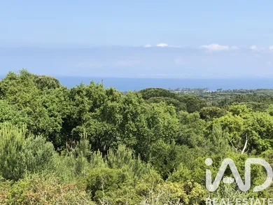 Farm land  in Sesimbra